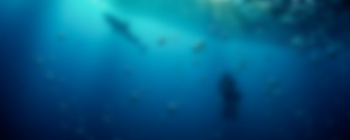  漁農業投資與供應鏈管理